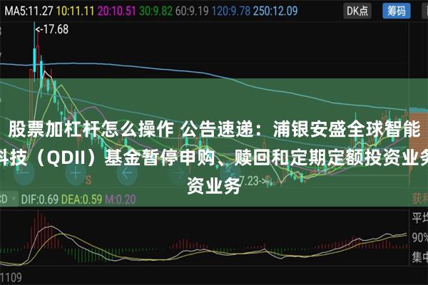 股票加杠杆怎么操作 公告速递：浦银安盛全球智能科技（QDII）基金暂停申购、赎回和定期定额投资业务