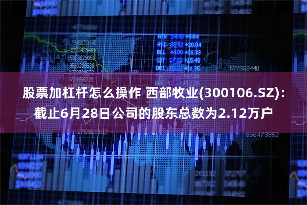 股票加杠杆怎么操作 西部牧业(300106.SZ)：截止6月28日公司的股东总数为2.12万户