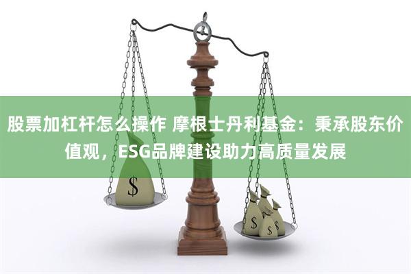 股票加杠杆怎么操作 摩根士丹利基金：秉承股东价值观，ESG品牌建设助力高质量发展