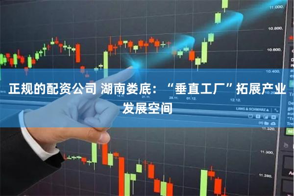 正规的配资公司 湖南娄底：“垂直工厂”拓展产业发展空间