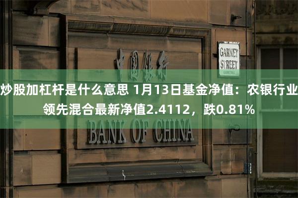 炒股加杠杆是什么意思 1月13日基金净值：农银行业领先混合最