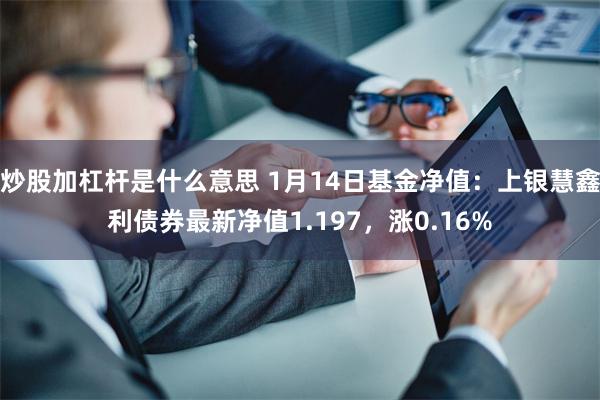 炒股加杠杆是什么意思 1月14日基金净值：上银慧鑫利债券最新净值1.197，涨0.16%